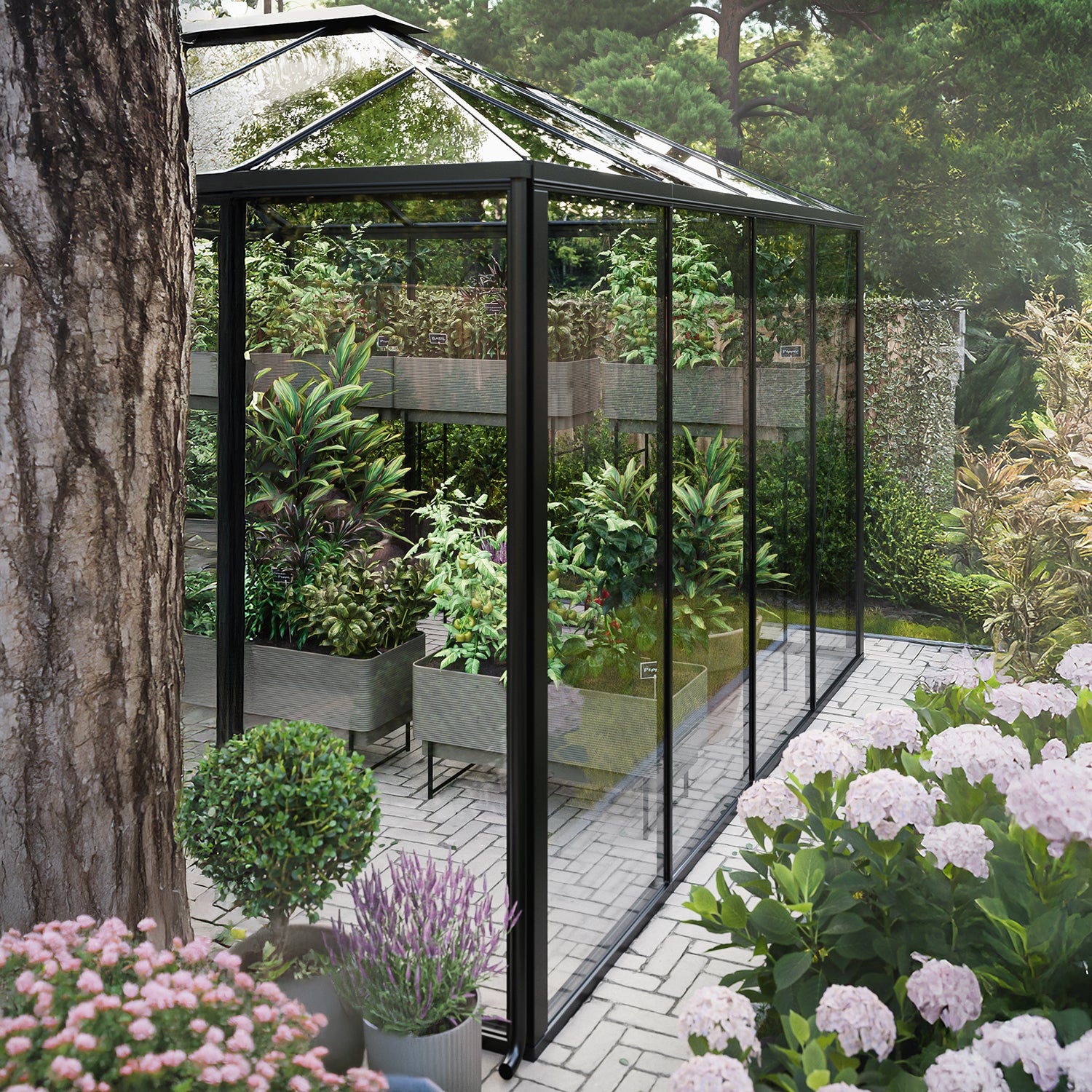 Belgravia Orangery