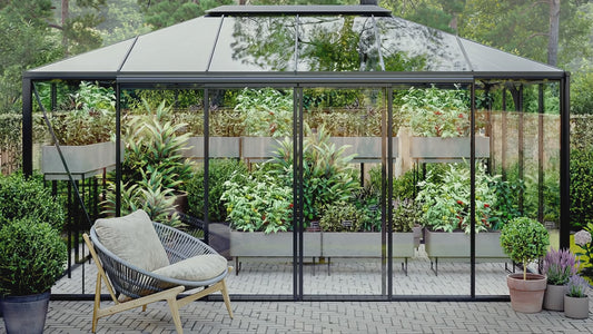 Belgravia Orangery